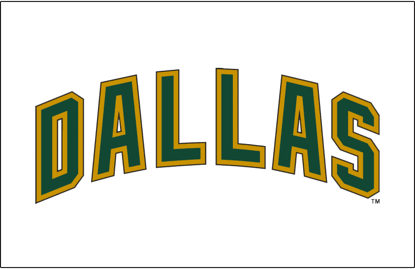 Dallas Stars 2008-2013 Jersey Logo fabric transfer